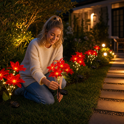 Solar Poinsettia Garden Lights with Red Flower Heads