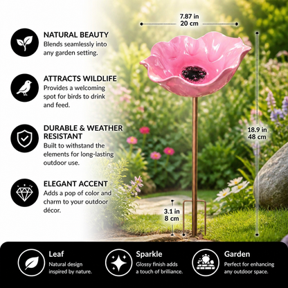 Decorative Outdoor Bird Bath & Feeding Bowl